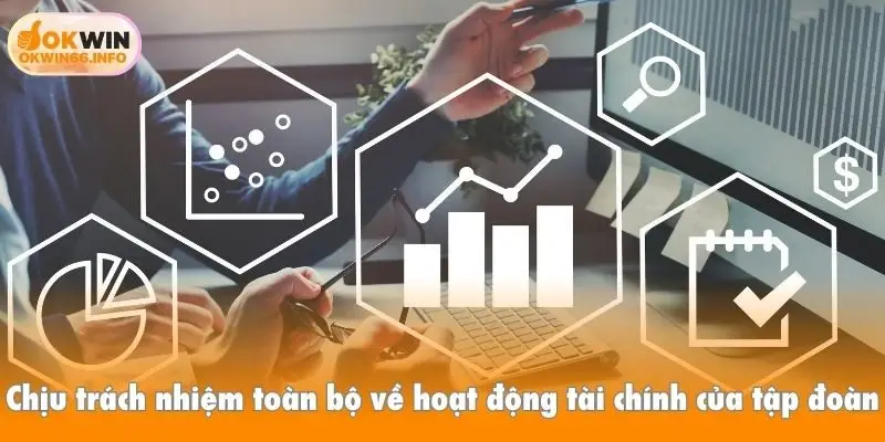 Chịu trách nhiệm toàn bộ về hoạt động tài chính của tập đoàn